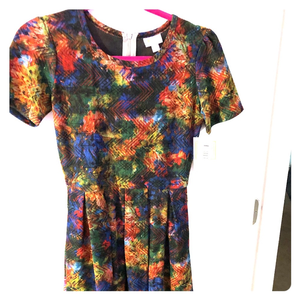 Small Amelia LulaRoe